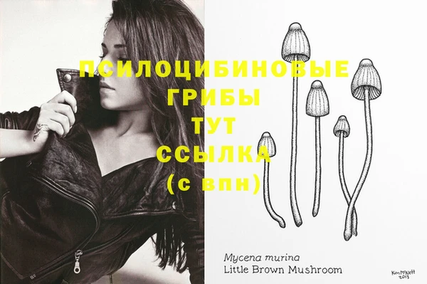молекула духа Алексеевка