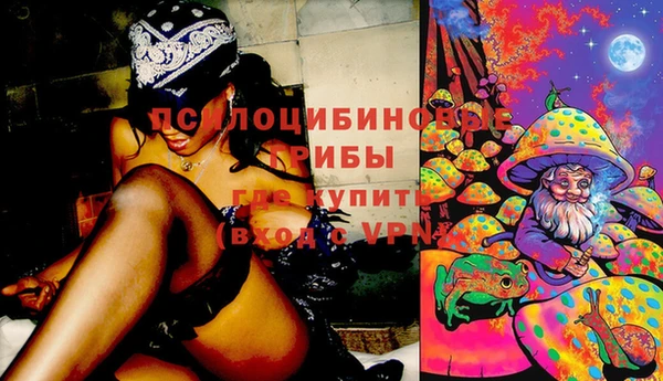 трава Алексин