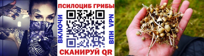 Галлюциногенные грибы Magic Shrooms цена Севастополь